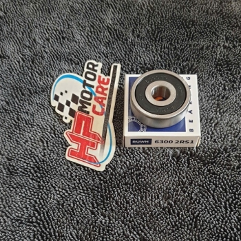 Bạc đạn 6300 RUWH 2RS1